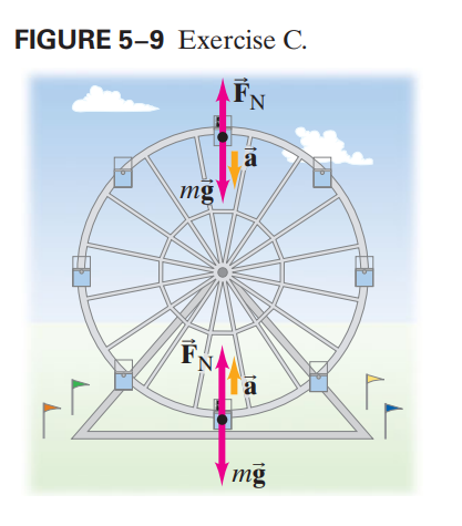 FIGURE 5–9 Exercise C.
a
mg
FNA
Tā
mg
