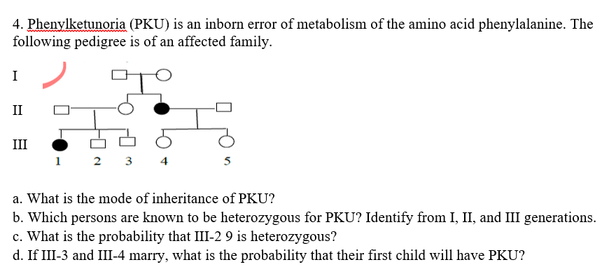 4. Phenylketunoria (PKU) is an inborn error of metabolism of the amino acid phenylalanine. The
following pedigree is of an affected family.
I
II
III
1 2 3
5
a. What is the mode of inheritance of PKU?
b. Which persons are known to be heterozygous for PKU? Identify from I, II, and III generations.
c. What is the probability that III-2 9 is heterozygous?
d. If III-3 and III-4 marry, what is the probability that their first child will have PKU?
