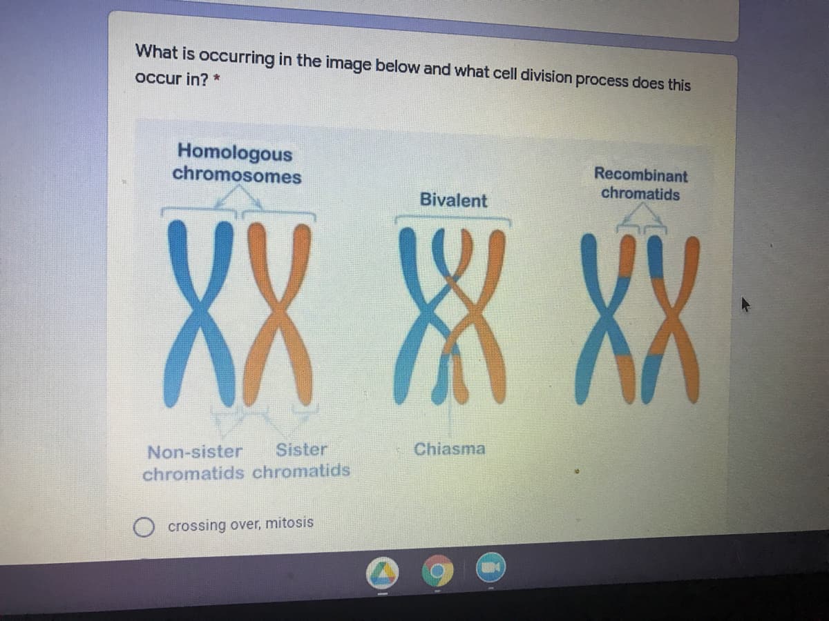 What is occurring in the image below and what cell division process does this
Occur in? *
Homologous
chromosomes
Recombinant
chromatids
XX X XX
Bivalent
Non-sister
Sister
Chiasma
chromatids chromatids
crossing over, mitosis
