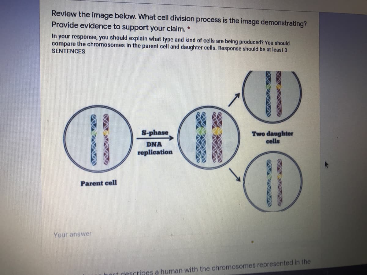 Review the image below. What cell division process is the image demonstrating?
Provide evidence to support your claim. *
In your response, you should explain what type and kind of cells are being produced? You should
compare the chromosomes in the parent cell and daughter cells. Response should be at least 3
SENTENCES
(I)
S-phase
Two daughter
cells
DNA
replication
Parent cell
Your answer
hoct describes a human with the chromosomes represented in the
