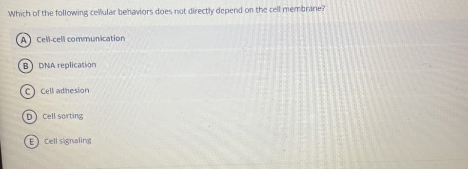 Which of the following cellular behaviors does not directly depend on the cell membrane?
A Cell-cell communication
B DNA replication
Cell adhesion
D
Cell sorting
Cell signaling
