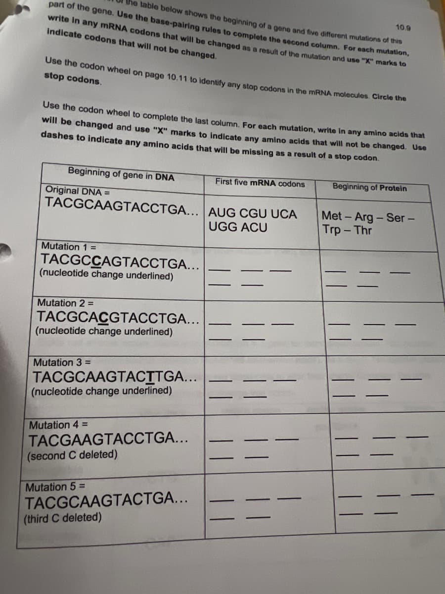 10.9
the table belaw shows the beginning of a gene and five different mutations of this
part of the gene. Use the base-pairing rules to complete the second column, For each mutation,
write in any mRNA codons that wiIl be changed as a result of the mutation and use "X" maka to
Indicate codons that will not be changed.
Ose the codon wheel on page 10.11 to identify any stop codons in the MRNA molecules. Circle the
stop codons.
Use the codon wheel to complete the last column. For each mutation, write In any amino acids that
will be changed and use "X" marks to indicate any amino acids that will not be changed. Use
dashes to indicate any amino acids that will be missing as a result of a stop codon.
Beginning of gene in DNA
First five mRNA codons
Beginning of Protein
Original DNA =
TACGCAAGTACCTGA... AUG CGU UCA
Met - Arg- Ser -
Trp- Thr
UGG ACU
Mutation 1 =
TACGCCAGTACCTGA...
(nucleotide change underlined)
Mutation 2 =
TACGCACGTACCTGA...
(nucleotide change underlined)
Mutation 3 =
TACGCAAGTACITGA...
(nucleotide change underlined)
Mutation 4 =
TACGAAGTACCTGA...
(second C deleted)
Mutation 5 =
TACGCAAGTACTGA...
(third C deleted)
