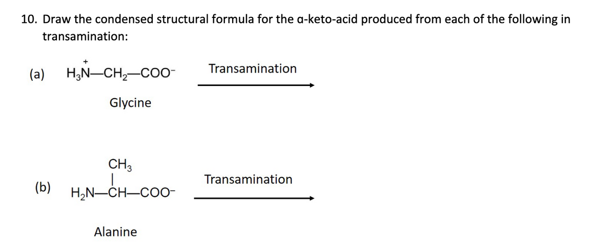 10. Draw the condensed structural formula for the a-keto-acid produced from each of the following in
transamination:
Transamination
(a)
H,N-CH,-CO0-
Glycine
CH3
Transamination
(b) H,N-CH-Coo
Alanine

