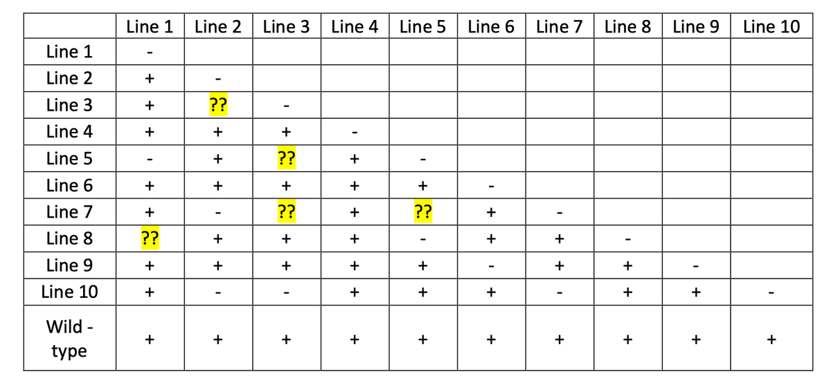 Line 1 | Line 2
Line 3
Line 4
Line 5 Line 6
Line 7
Line 8
Line 9
Line 10
Line 1
Line 2
+
Line 3
??
Line 4
+
Line 5
??
Line 6
+
Line 7
+
??
??
+
Line 8
??
+
+
+
Line 9
+
+
+
+
+
+
Line 10
Wild -
+
+
+
type
+
+
+
+
+
+
+
+
+
+ +
+
+
+
+
+
+
+
