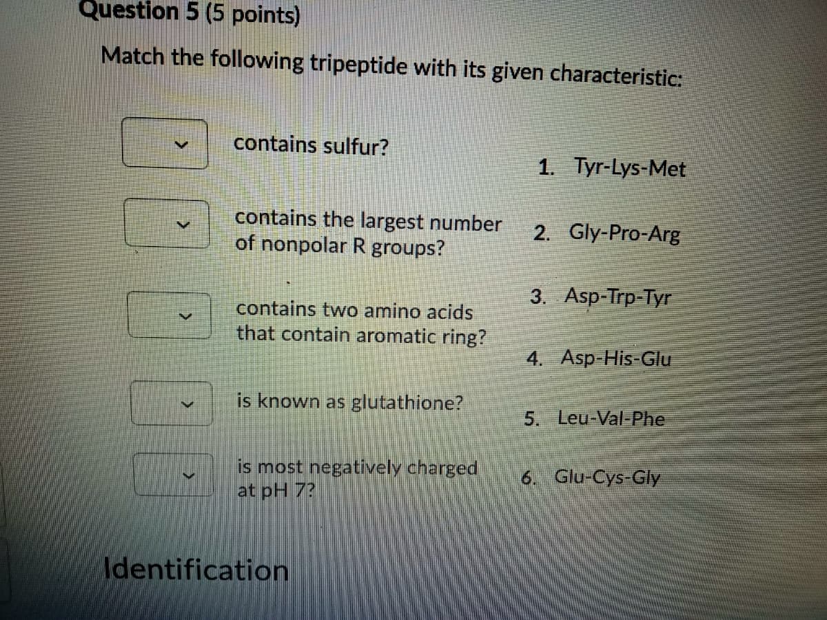 Question 5 (5 points)
Match the following tripeptide with its given characteristic:
contains sulfur?
1. Tyr-Lys-Met
contains the largest number
of nonpolar R groups?
2. Gly-Pro-Arg
3. Asp-Trp-Tyr
contains two amino acids
that contain aromatic ring?
4. Asp-His-Glu
is known as glutathione?
5. Leu-Val-Phe
is most negatively charged
at pH 7?
6. Glu-Cys-Gly
Identification
