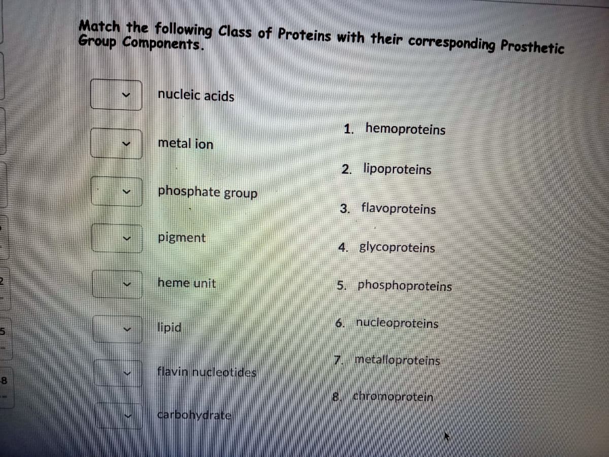 Match the following Class of Proteins with their corresponding Prosthetic
Group Components.
nucleic acids
1. hemoproteins
metal ion
2. lipoproteins
phosphate group
3. flavoproteins
pigment
4. glycoproteins
heme unit
5. phosphoproteins
6. nucleoproteins
lipid
5.
metalloproteins
flavin nucleotides
-8
chromoprotein
carbohydrate
