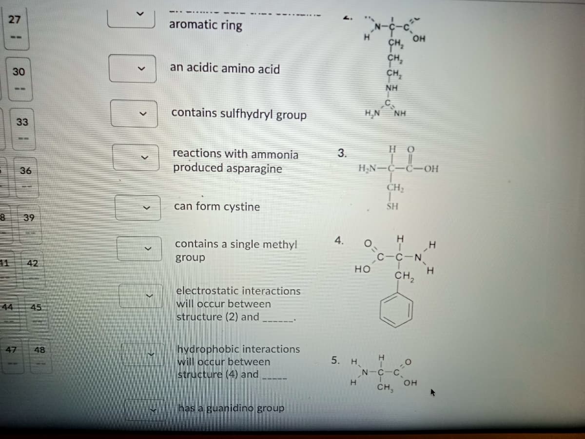 27
aromatic ring
он
--
CH,
an acidic amino acid
30
NH
--
contains sulfhydryl group
H,N
NH
33
--
reactions with ammonia
3.
но
produced asparagine
H;N-C-C-OH
36
CH2
can form cystine
SH
8
39
contains a single methyl
4.
group
С -с-N
11
42
но
CH,
electrostatic interactions
44
45
will occur between
structure (2) and
hydrophobic interactions
will occur between
structure (4) and
47
48
5. Н.
N-C-
H
он
CH
has a guanidino group
