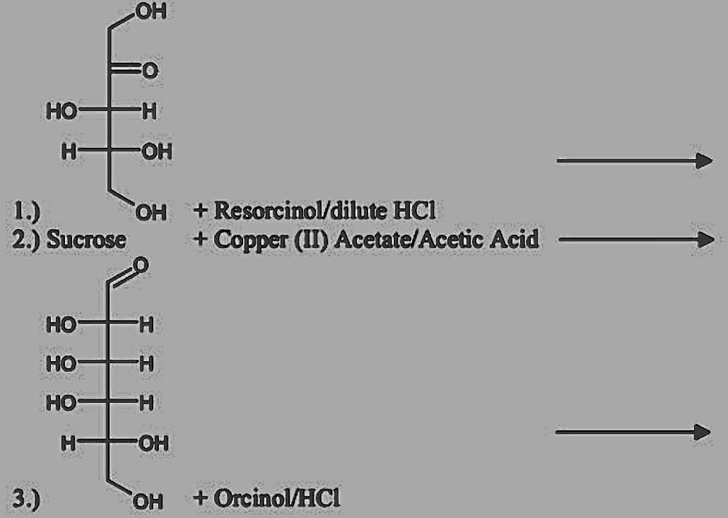 OH
но—
H-
H-
-O-
OH + Resorcinol/dilute HCI
1.)
2.) Sucrose
+ Copper (II) Acetate/Acetic Acid
HO-
H-
HO
H-
но
H-
H-
HO-
3.)
OH
+ Orcinol/HCi
