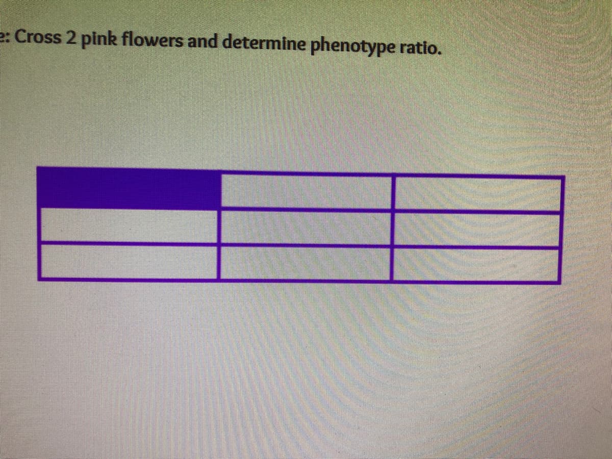 e: Cross 2 pink flowers and determine phenotype ratio.
