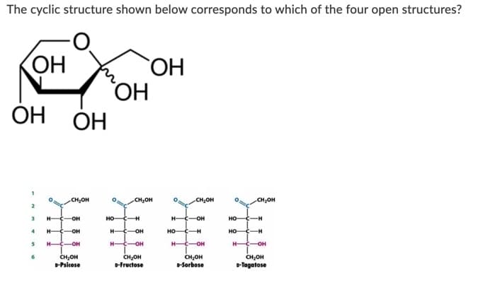 The cyclic structure shown below corresponds to which of the four open structures?
ОН
OH
ОН
OH
CH,OH
CH,OH
CH,OH
CH,OH
HC-
он
но
H
HC-
OH
но-
4
HC-
OH
H C-OH
но
но
H-
-OH
H -OH
H C-OH
H-
OH
CH,OH
D-Fructose
CH,OH
D-Sorbose
CH,OH
р-Тagatose
6
CH,OH
D-Psicose
