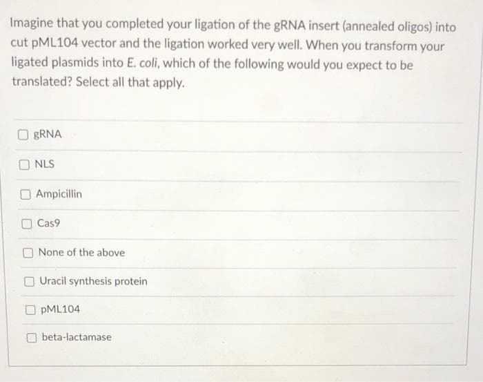 Imagine that you completed your ligation of the gRNA insert (annealed oligos) into
cut PML104 vector and the ligation worked very well. When you transform your
ligated plasmids into E. coli, which of the following would you expect to be
translated? Select all that apply.
BRNA
NLS
Ampicillin
Cas9
None of the above
Uracil synthesis protein
O PML104
O beta-lactamase

