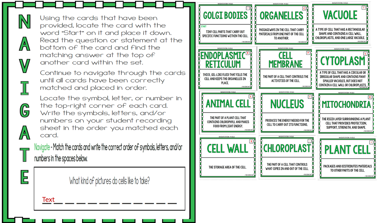 NAVICATE STATION-PACELLS
NAVIGATE STATION -PACELLS
NAVICATE STATION-PACELLS
GOLGI BODIES
ORGANELLES
VACUOLE
N
Using the cards that have been
provided, locate the card with the
word “Start" on it and place it down.
Read the question or statement at the
START
A TYPE OF CELL THAT HAS A RECTANGULAR
SHAPE AND CONTAINS A CELL WALL,
CHLOROPLASTS, AND ONE LARGE VACUOLE.
PASSAGE WAYS IN THE CELL THAT CARRY
TINY CELL PARTS THAT CARRY OUT
MATERIALS FROM ONE PART OF THE CELL
SPECIFIC FUNCTIONS WITHIN THE CELL.
TO ANOTHER.
THE SCINI NO
bot tom of the card and find the
NAVIGATE STATION PACELLS
NAVIGATE STATION PACILLS
NAVIGATE STATION PACUS
V
matching answer at the top of
another card within the set.
ENDOPLASMIC
RETICULUM
CELL
MEMBRANE
CYTOPLASM
Continue to navigate through the cards
until all cards have been correctly
matched and placed in order.
A TYPE OF CELL THAT HAS A CIRCULAR OR
THICK, GEL-LIKE FLUID THAT FILLS THE
CELL AND KEEPS THE ORGANELLES IN
THE PART OF A CELL THAT CONTROLS THE
IRREGULAR SHAPE AND CONTAINS MANY
ACTIVITIES OF THE CELL.
SMALLER VACUOLES, BUT DOES NOT
CONTAIN A CELL WALL OR CHLOROPLASTS.
I
PLACE,
NAVIGATE STATTON-PA CLLS
NAVOGATE STATION. PACELLS
NAVIGATE STATION-PACELLS
Locate the symbol, let ter, or number in
the top-right corner of each card.
Write the symbols, letters, and/or
numbers on your student recording
sheet in the order you matched each
card.
ANIMAL CELL
NUCLEUS
MITOCHONDRIA
G
THE PART OF A PLANT CELL THAT
THE RIGID LAYER SURROUNDING A PLANT
PRODUCES THE ENERGY NEEDED FOR THE
CONTAINS CHLOROPHYLL AND MAKES
CELL THAT PROVIDES PROTECTION,
SUPPORT, STRENGTH, AND SHAPE.
CELL TO CARRY OUT ITS FUNCTIONS.
FOOD FROM LIGHT ENERGY,
THE SCIENCI NO
THE SCIENCE DUO
NAVIEATE STATION-PA CELLS
NAVIGATE STATION-PACELLS
NAVIGATE STATION-PA CELLS
T
Navigate - Match the cards and wrie the correct order of symbals, ettr, and/or
CELL WALL
CHLOROPLAST PLANT CELL
numbersh the spaces beloW.
THE PART OF A CELL THAT CONTROLS
THE STORAGE AREA OF THE CELL,
PACKAGES AND DISTRIBUTES MATERIALS
WHAT COMES IN AND OUT OF THE CELL.
TO OTHER PARTS OF THE CELL.
E
THE SCENCE DUOT
THE SCIENCE DUO
SCENCI O
What kind of pictures do cels ke to tcke?
Тext
