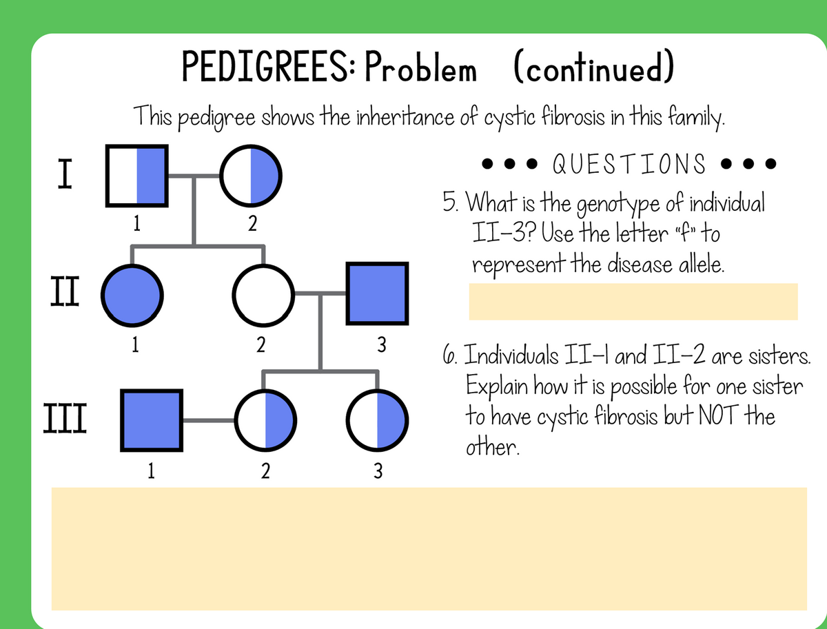 PEDIGREES: Problem (continued)
This pedigree shows the inheritance of cystic fibrosis in this family.
I
• QUESTIONS ••.
5. What is the genotype of individual
II-3? Use the letter "f" to
1
2
represent the disease allele.
II
1
2
3
6. Individuals II-I and II-2 are sisters.
Explain how it is possible for one sister
to have cystic fibrosis but NOT the
other.
III
1
2
3
