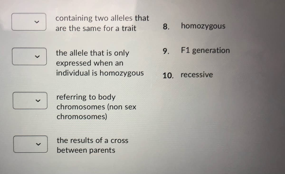 containing two alleles that
are the same for a trait
8.
homozygous
the allele that is only
9.
F1 generation
expressed when an
individual is homozygous
10. recessive
referring to body
chromosomes (non sex
chromosomes)
the results of a cross
between parents
