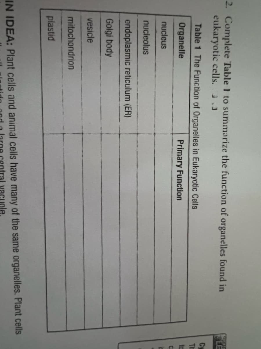 2. Complete Table 1 to summarize the function of organelles found in
eukaryotic cells. a.]
Table 1 The Function of Organelles in Eukaryotic Cells
Organelle
Primary Function
nucleus
nucleolus
endoplasmic reticulum (ER)
Golgi body
vesicle
mitochondrion
plastid
IN IDEA: Plant cells and animal cells have many of the same organelles. Plant cells
cuole.
LE
TH