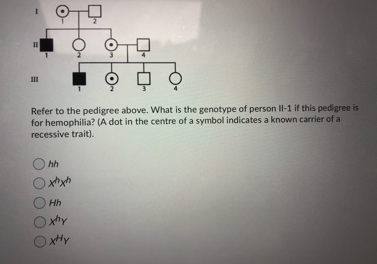 II
2
III
1
Refer to the pedigree above. What is the genotype of person II-1 if this pedigree is
for hemophilia? (A dot in the centre of a symbol indicates a known carrier of a
recessive trait).
hh
O xtxh
Hh
O xhy
OxHy
