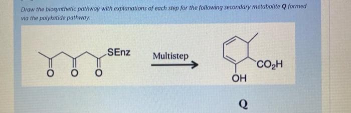 Draw the biosynthetic pathway with explanations of each step for the following secondary metabolite Q formed
via the polyketide pathway.
SEnz
Multistep
CO2H
OH
Q
