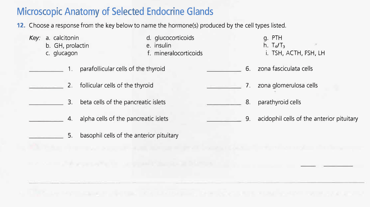 Microscopic Anatomy of Selected Endocrine Glands
12. Choose a response from the key below to name the hormone(s) produced by the cell types listed.
Key: a. calcitonin
b. GH, prolactin
c. glucagon
1.
parafollicular cells of the thyroid
follicular cells of the thyroid
beta cells of the pancreatic islets
4. alpha cells of the pancreatic islets
5.
2.
d. glucocorticoids
e. insulin.
f. mineralocorticoids
3.
basophil cells of the anterior pituitary
6.
7.
9. PTH
h. T4/T3
i. TSH, ACTH, FSH, LH
zona fasciculata cells
zona glomerulosa cells
8.
parathyroid cells
9. acidophil cells of the anterior pituitary