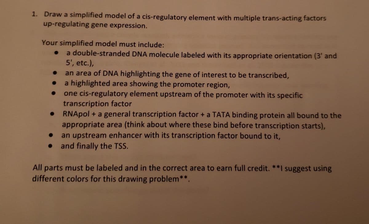 1. Draw a simplified model of a cis-regulatory element with multiple trans-acting factors
up-regulating gene expression.
Your simplified model must include:
a double-stranded DNA molecule labeled with its appropriate orientation (3' and
5', etc.),
an area of DNA highlighting the gene of interest to be transcribed,
a highlighted area showing the promoter region,
one cis-regulatory element upstream of the promoter with its specific
transcription factor
• RNApol + a general transcription factor + a TATA binding protein all bound to the
appropriate area (think about where these bind before transcription starts),
an upstream enhancer with its transcription factor bound to it,
• and finally the TSS.
All parts must be labeled and in the correct area to earn full credit. **I suggest using
different colors for this drawing problem**.
