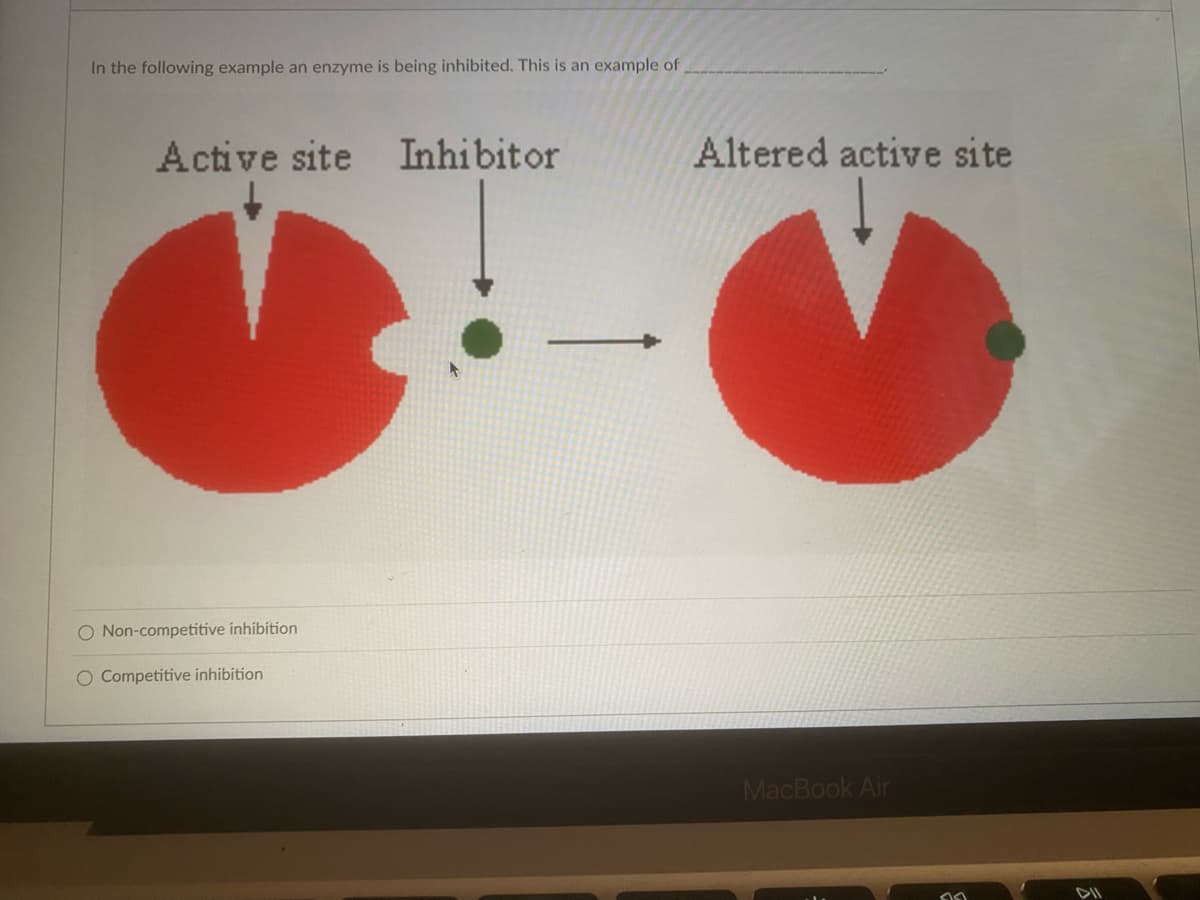 In the following example an enzyme is being inhibited. This is an example of
Active site Inhibitor
Altered active site
O Non-competitive inhibition
O Competitive inhibition
MacBook Air
