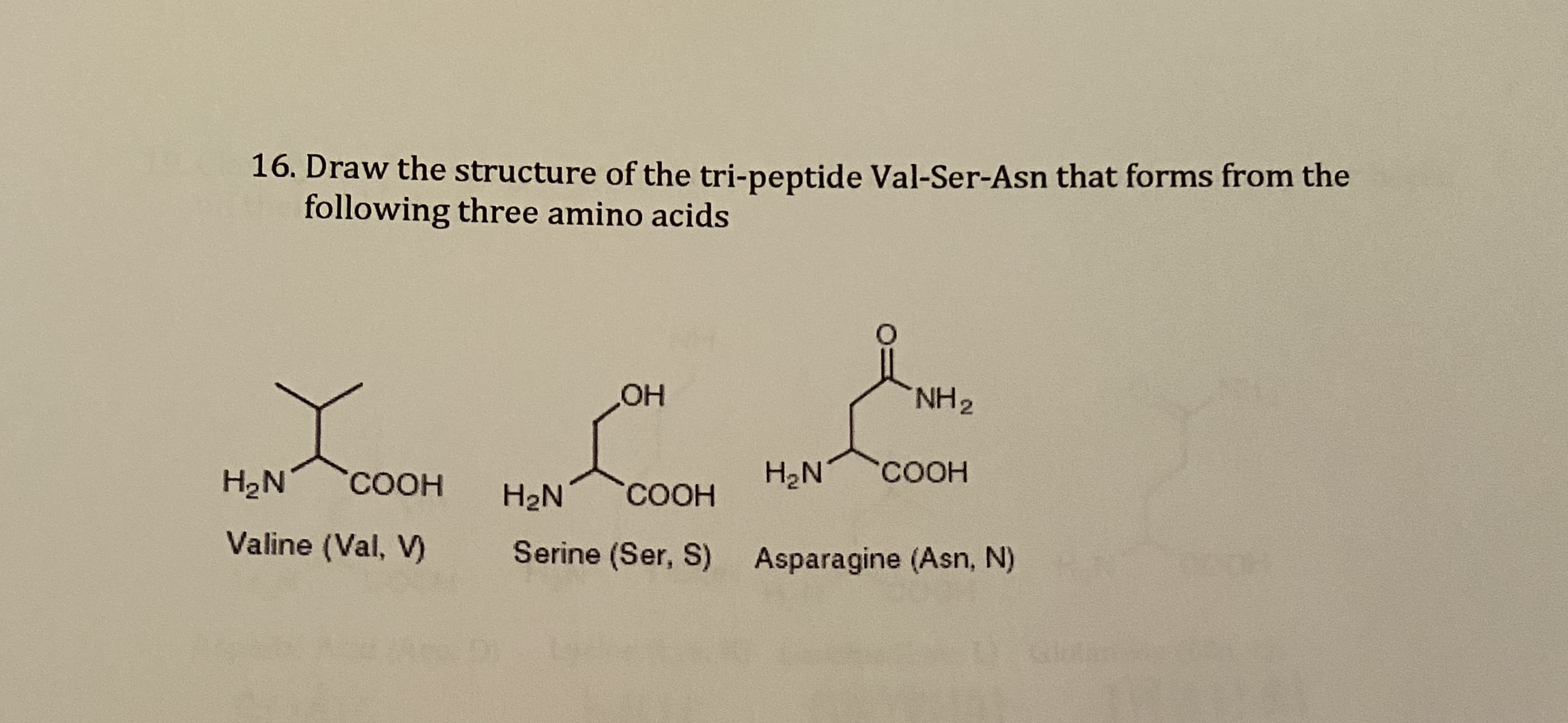 16. Draw the structure of the tri-peptide Val-Ser-Asn that forms from the
following three amino acids
NH2
H2N
COOH
H2N
COOH
H2N
COOH
Valine (Val, V)
Serine (Ser, S) Asparagine (Asn, N)

