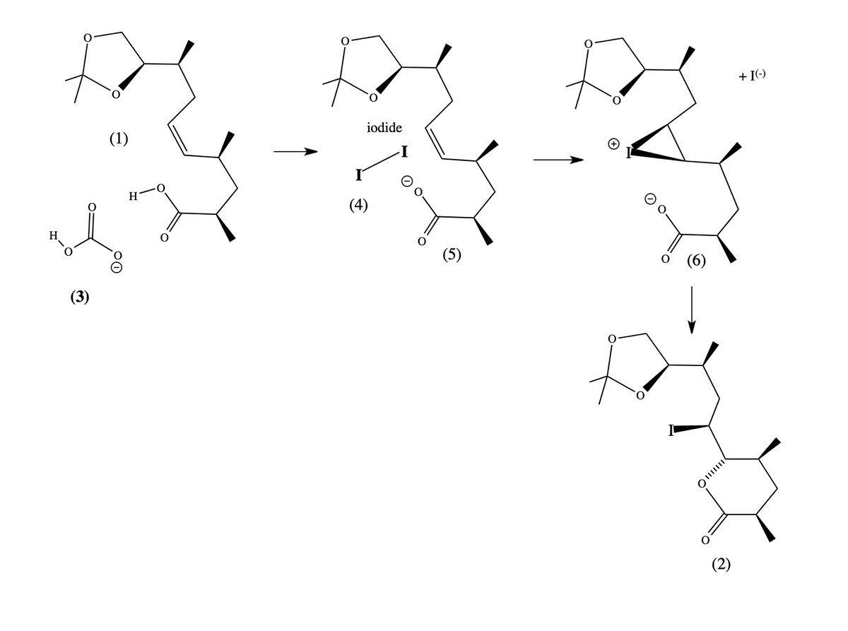 + I(-)
(1)
iodide
H
(4)
(6)
(3)
