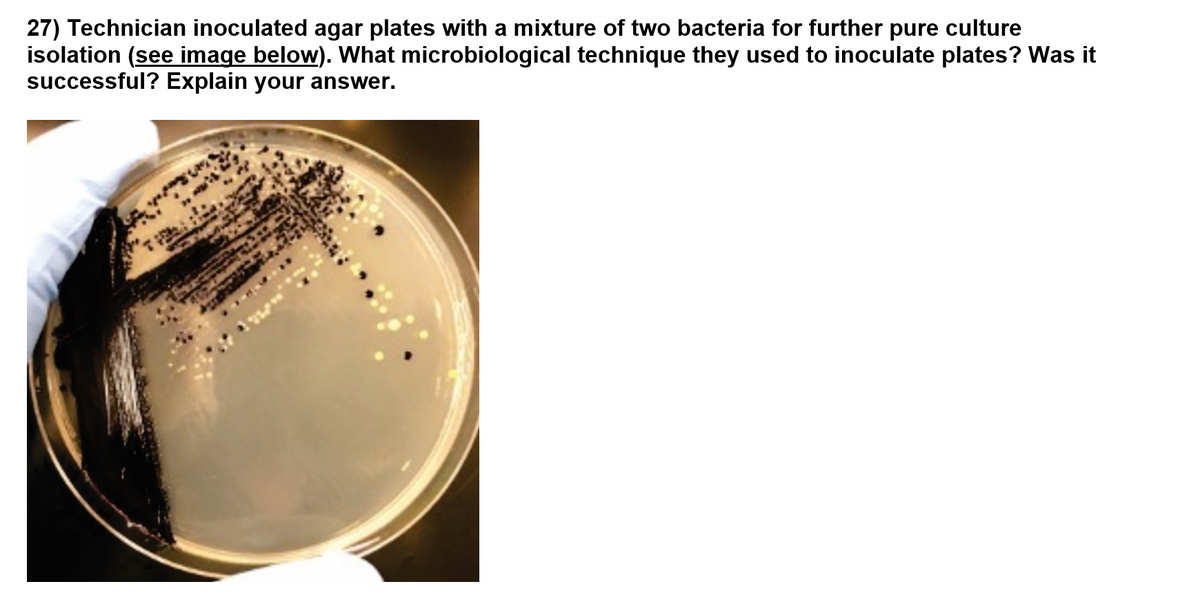 27) Technician inoculated agar plates with a mixture of two bacteria for further pure culture
isolation (see image below). What microbiological technique they used to inoculate plates? Was it
successful? Explain your answer.
कट 2
