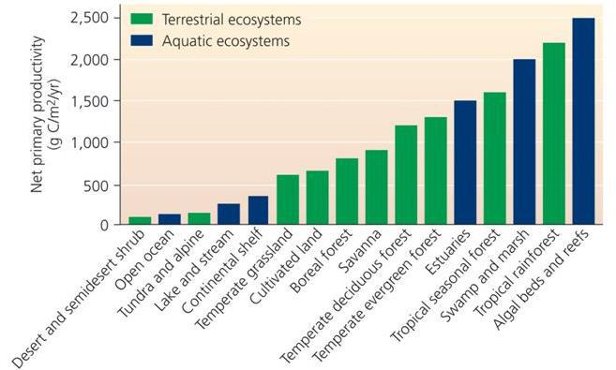 2,500 -
Terrestrial ecosystems
Aquatic
ecosystems
2,000
1,500-
1,000-
500
Net primary productivity
(g C/m2/yr)
Desert and semidesert shrub
Open ocean
Tundra and alpine
Lake and stream
Continental shelf
Temperate grassland
Cultivated land
Boreal forest
Savanna
Temperate deciduous forest
Temperate evergreen forest
Estuaries
Tropical seasonal forest
Swamp and marsh
Tropical rainforest
Algal beds and reefs
