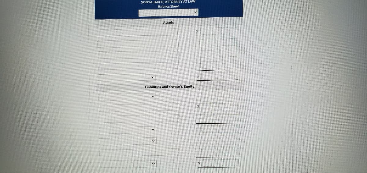 SONYA JARED, ATTORNEY AT LAW
Balance Sheet
Assets
Liabilities and Owner's Equity
