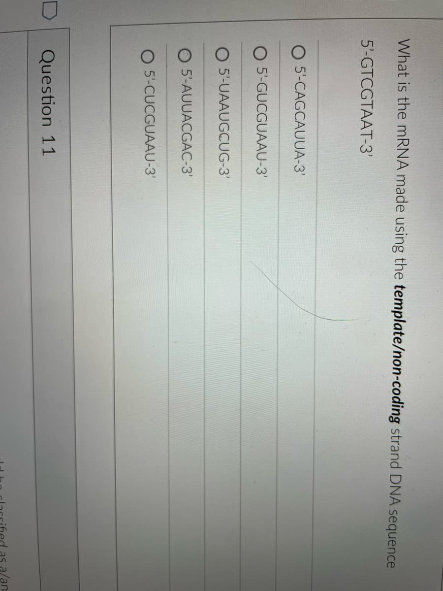 What is the mRNA made using the template/non-coding strand DNA sequence
5'-GTCGTAAT-3'
O 5-CAGCAUUA-3'
O 5'-GUCGUAAU-3'
O 5'-UAAUGCUG-3'
5'-AUUACGAC-3'
O 5'-CUCGUAAU-3'
Question 11
as a/an
