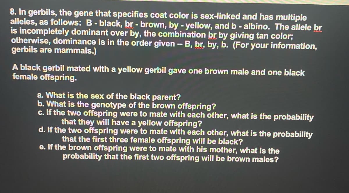8. In gerbils, the gene that specifies coat color is sex-linked and has multiple
alleles, as follows: B-black, br - brown, by - yellow, and b - albino. The allele br
is incompletely dominant over by, the combination br by giving tan color;
otherwise, dominance is in the order given -- B, br, by, b. (For your information,
gerbils are mammals.)
A black gerbil mated with a yellow gerbil gave one brown male and one black
female offspring.
a. What is the sex of the black parent?
b. What is the genotype of the brown offspring?
c. If the two offspring were to mate with each other, what is the probability
that they will have a yellow offspring?
d. If the two offspring were to mate with each other, what is the probability
that the first three female offspring will be black?
e. If the brown offspring were to mate with his mother, what is the
probability that the first two offspring will be brown males?
