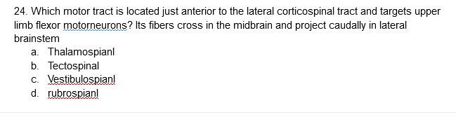 24. Which motor tract is located just anterior to the lateral corticospinal tract and targets upper
limb flexor motorneurons? Its fibers cross in the midbrain and project caudally in lateral
brainstem
a. Thalamospianl
b. Tectospinal
c. Vestibulospian!
d. rubrospian!
