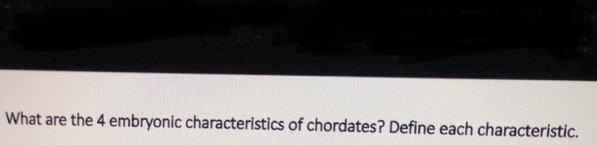 What are the 4 embryonic characteristics of chordates? Define each characteristic.
