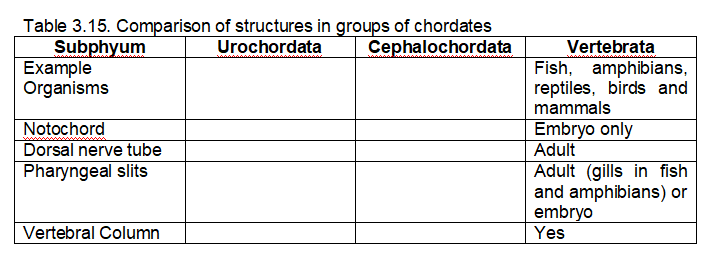 Table 3.15. Comparison
Subphyum
Example
Organisms
Notochord
Dorsal nerve tube
Pharyngeal slits
Vertebral Column
of structures in groups of chordates
Urochordata Cephalochordata
Vertebrata
Fish, amphibians,
reptiles, birds and
mammals
Embryo only
Adult
Adult (gills in fish
and amphibians) or
embryo
Yes