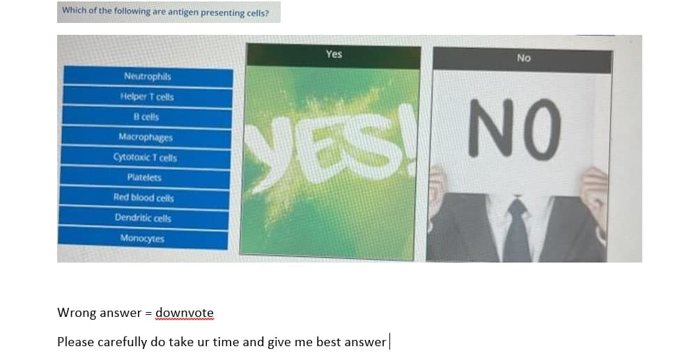 Which of the following are antigen presenting cells?
Yes
No
Neutrophils
Helper T cells
YES! NO
B cells
Macrophages
Cytotoxic T cells
Platelets
Red blood cells
Dendritic cells
Monocytes
Wrong answer = downvote
Please carefully do take ur time and give me best answer
