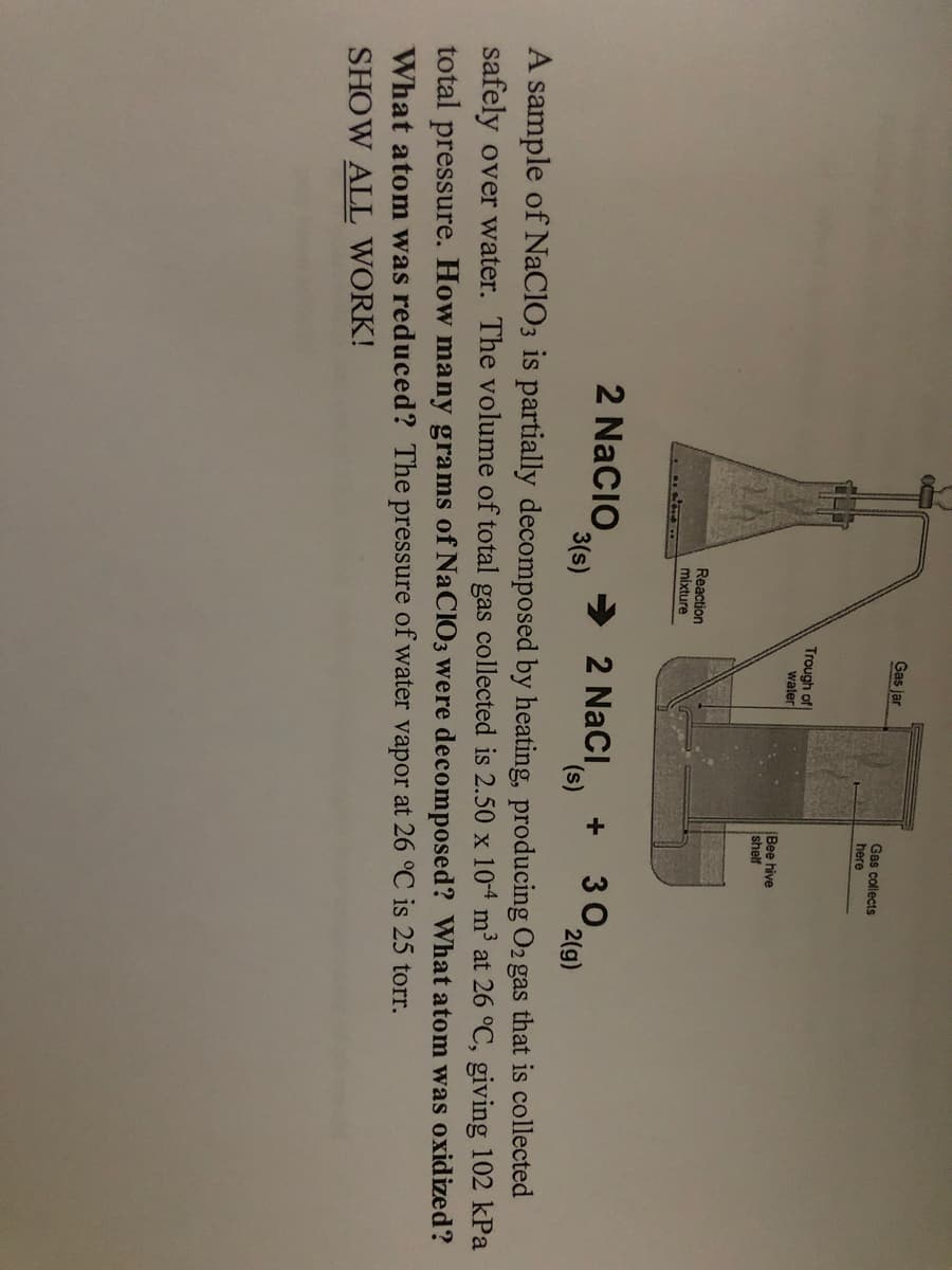 Gas jar
Gas collects
here
Trough of
water
|Bee hive
shelf
Reaction
mixture
2 NaCiO,
> 2 Naci
3(s)
30
2(g)
(s),
A sample of NaCIO3 is partially decomposed by heating, producing O2 gas that is collected
safely over water. The volume of total gas collected is 2.50 x 104 m³ at 26 °C, giving 102 kPa
total pressure. How many grams of NaCIO3 were decomposed? What atom was oxidized?
What atom was reduced? The pressure of water vapor at 26 °C is 25 torr.
SHOW ALL WORK!
