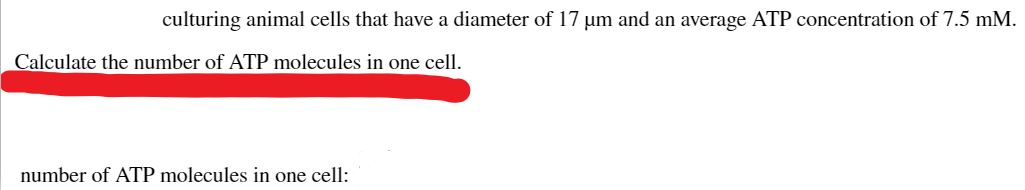 Calculate the number of ATP molecules in one cell.
