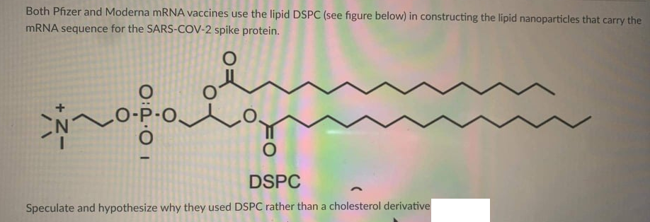 Both Pfizer and Moderna mRNA vaccines use the lipid DSPC (see figure below) in constructing the lipid nanoparticles that carry the
MRNA sequence for the SARS-COV-2 spike protein.
LO-P-O
DSPC
Speculate and hypothesize why they used DSPC rather than a cholesterol derivative
+ N-
