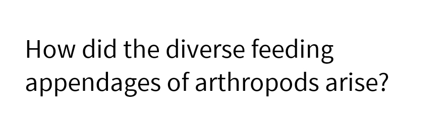 How did the diverse feeding
appendages
of arthropods arise?