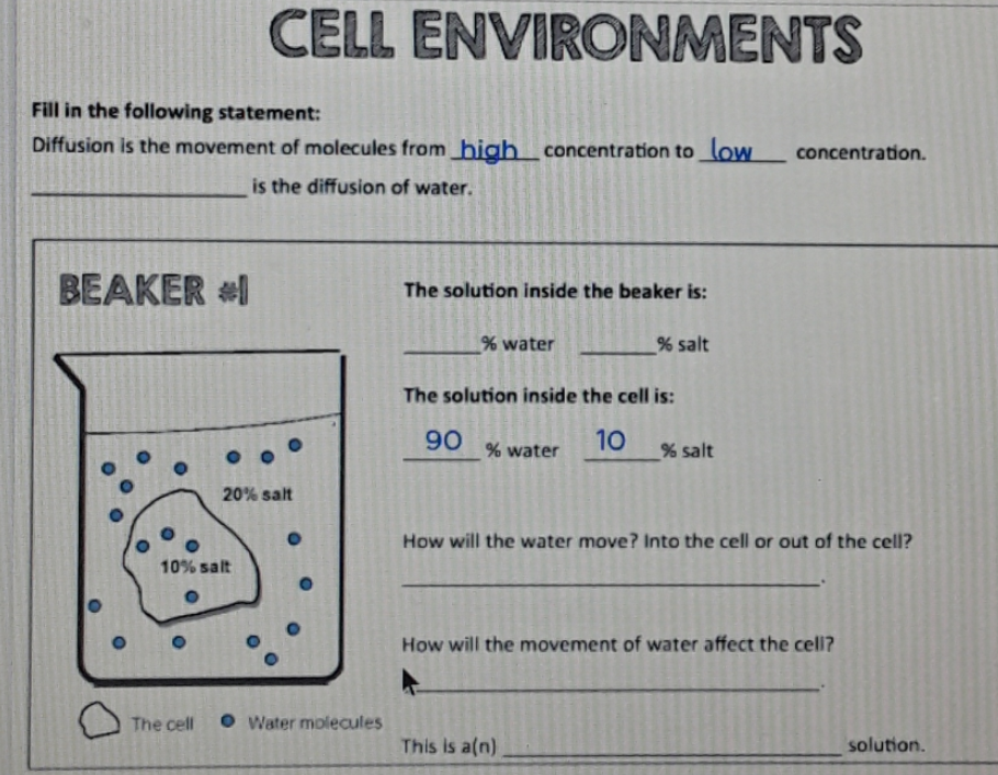 CELL ENVIRONMENTS
Fill in the following statement:
Diffusion is the movement of molecules from_high_concentration to_low.
concentration.
is the diffusion of water.
BEAKER #I
The solution inside the beaker is:
% water
% salt
The solution inside the cell is:
90
10
% water
% salt
20% salt
How will the water move? Into the cell or out of the cell?
10% salt
How will the movement of water affect the cell?
The cell
O Water molecules
This is a(n)
solution.
