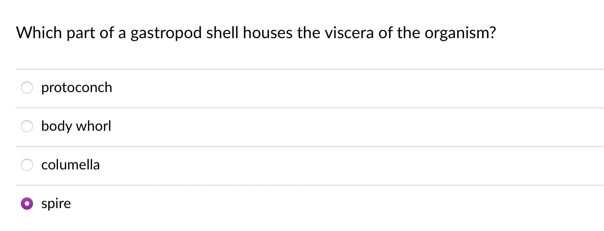 Which part of a gastropod shell houses the viscera of the organism?
protoconch
body whorl
columella
spire
ooo