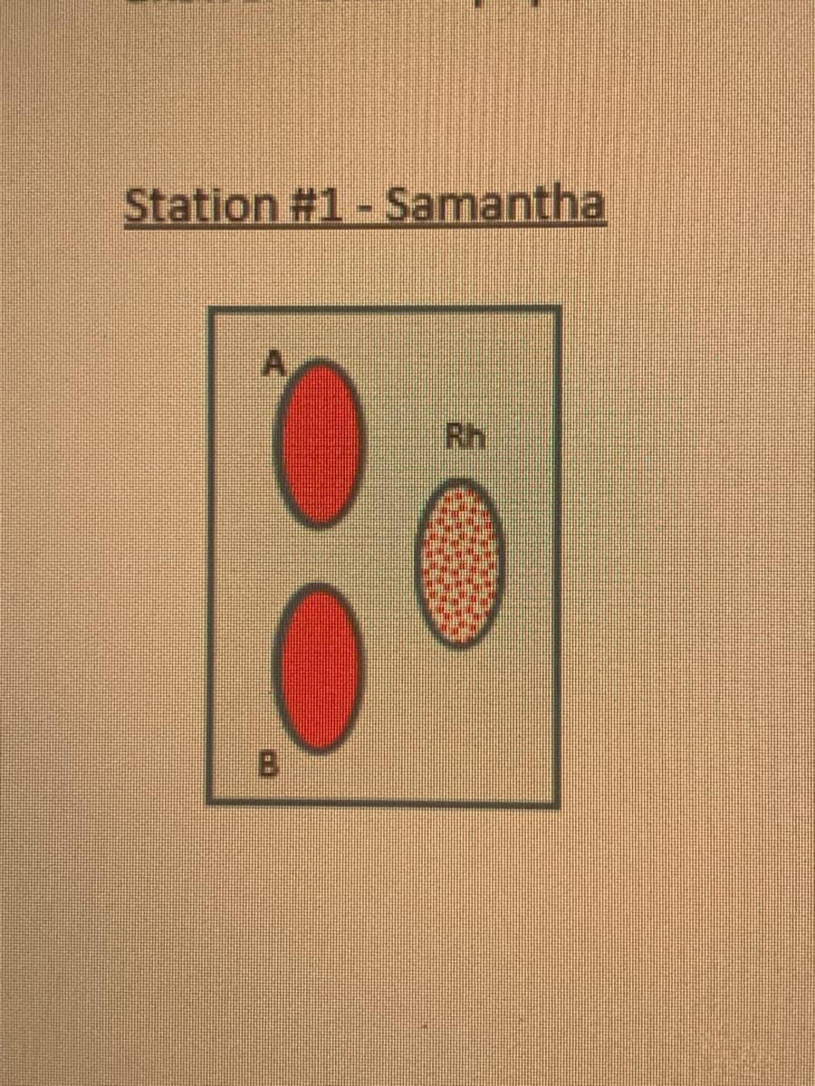 Station #1- Samantha
A,
Rh
B
