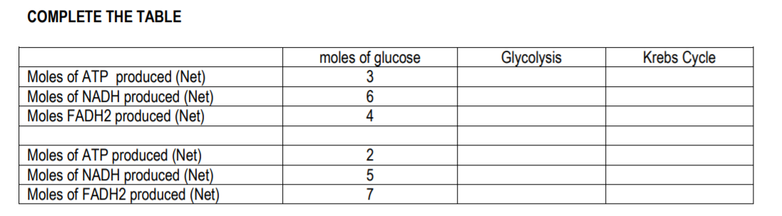 COMPLETE THE TABLE
Krebs Cycle
moles of glucose
3
Glycolysis
Moles of ATP produced (Net)
Moles of NADH produced (Net)
Moles FADH2 produced (Net)
6.
4
Moles of ATP produced (Net)
Moles of NADH produced (Net)
Moles of FADH2 produced (Net)
2
N57
