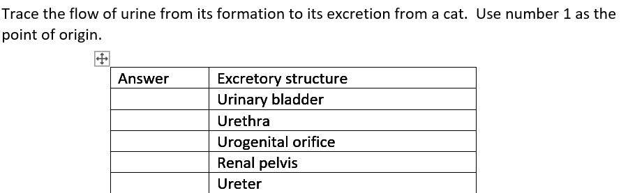Trace the flow of urine from its formation to its excretion from a cat. Use number 1 as the
point of origin.
Excretory structure
Urinary bladder
Answer
Urethra
Urogenital orifice
Renal pelvis
Ureter

