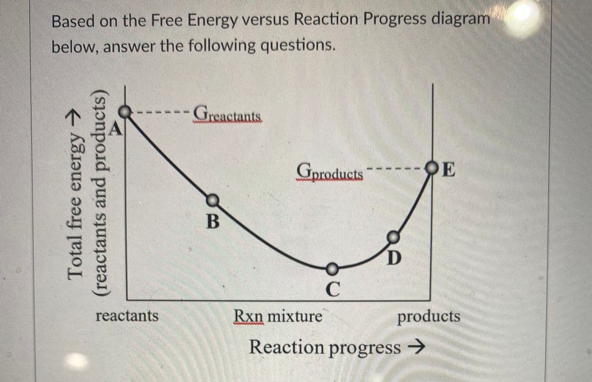 Based on the Free Energy versus Reaction Progress diagram
below, answer the following questions.
Greactants
Gproducts
---OE
B
reactants
Rxn mixture
products
Reaction progress
->
->
Total free energy
(reactants and products)
