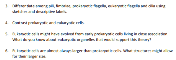 3. Differentiate among pili, fimbriae, prokaryotic flagella, eukaryotic flagella and cilia using
sketches and descriptive labels.
4. Contrast prokaryotic and eukaryotic cells.
5. Eukaryotic cells might have evolved from early prokaryotic cells living in close association.
What do you know about eukaryotic organelles that would support this theory?
6. Eukaryotic cells are almost always larger than prokaryotic cells. What structures might allow
for their larger size.
