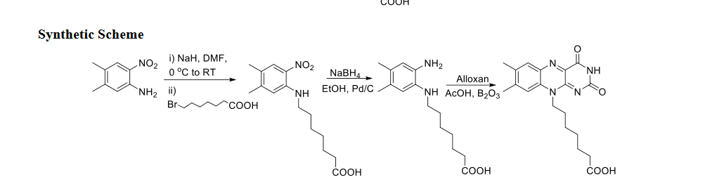 COOH
Synthetic Scheme
)NaH, DMF,
0 °C to RT
NO2
NH2
N
NO2
NH
NaBH
Alloxan
"NH ACOH, В,03
ETОН, Pd/C
NH2 i)
Br
NH
СООН
СООН
СООн
COOH
