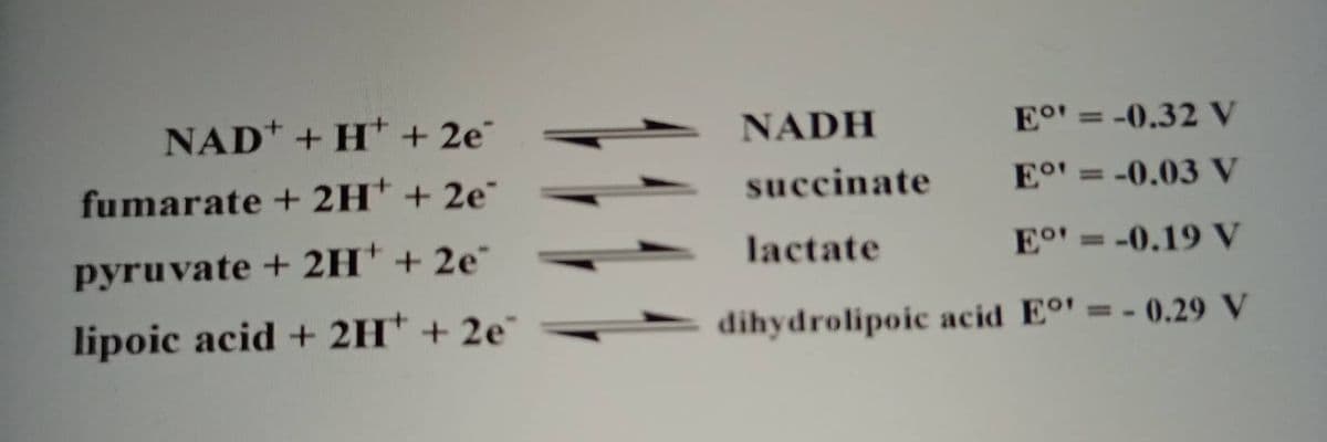 NAD+ + H+ + 2e²
fumarate + 2H+ + 2e7
pyruvate + 2H+ + 2e
lipoic acid + 2H+ + 2e
NADH
E°' = -0.32 V
succinate
Eo¹=-0.03 V
lactate
E' = -0.19 V
dihydrolipoic acid E°¹ = -0.29 V