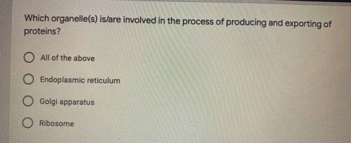 Which organelle(s) is/are involved in the process of producing and exporting of
proteins?
O All of the above
O Endoplasmic reticulum
O Golgi apparatus
O Ribosome
