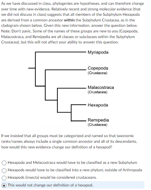 As we have discussed in class, phylogenies are hypotheses, and can therefore change
over time with new evidence. Relatively recent and strong molecular evidence (that
we did not discuss in class) suggests that all members of the Subphylum Hexapoda
are derived from a common ancestor within the Subphylum Crustacea, as in the
cladogram shown below. Given this new information, answer the question below.
Note: Don't panic. Some of the names of these groups are new to you (Copepoda,
Malacostraca, and Remipedia are all classes or subclasses within the Subphylum
Crustacea), but this will not affect your ability to answer this question.
Myriapoda
Copepoda
(Crustacea)
Malacostraca
(Crustacea)
Hexapoda
Remipedia
(Crustacea)
If we insisted that all groups must be categorized and named so that taxonomic
ranks/names always include a single common ancestor and all of its descendants,
how would this new evidence change our definition of a hexapod?
Hexapoda and Melacostraca would have to be classified as a new Subphylum
Hexapods would have to be classified into a new phylum, outside of Arthropoda
Hexapods (insects) would be considered crustaceans.
This would not change our definition of a hexapod.